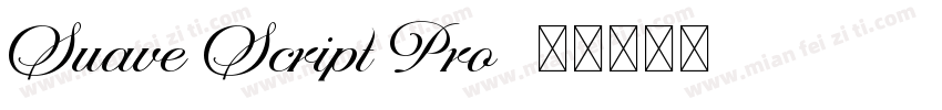 Suave Script Pro字体转换